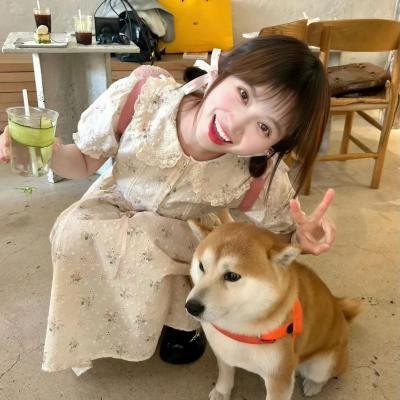 复仇岛